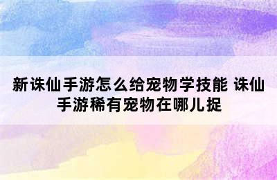 新诛仙手游怎么给宠物学技能 诛仙手游稀有宠物在哪儿捉